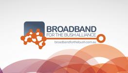 Broadband for the Bush